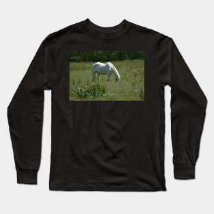 Wild Horse Long Sleeve T-Shirt